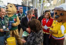 Gobierno refuerza la prevención de incendios forestales con campaña informativa en Fiestas Patrias Gobierno refuerza la prevención de incendios forestales con campaña informativa en Fiestas Patrias