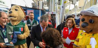 Gobierno refuerza la prevención de incendios forestales con campaña informativa en Fiestas Patrias Gobierno refuerza la prevención de incendios forestales con campaña informativa en Fiestas Patrias