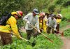Gobierno se anticipa a eventual complejo escenario estival y presenta Programa para la Prevención y Mitigación de Incendios Forestales Gobierno se anticipa a eventual complejo escenario estival y presenta Programa para la Prevención y Mitigación de Incendios Forestales