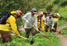 Gobierno se anticipa a eventual complejo escenario estival y presenta Programa para la Prevención y Mitigación de Incendios Forestales Gobierno se anticipa a eventual complejo escenario estival y presenta Programa para la Prevención y Mitigación de Incendios Forestales