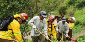Gobierno se anticipa a eventual complejo escenario estival y presenta Programa para la Prevención y Mitigación de Incendios Forestales Gobierno se anticipa a eventual complejo escenario estival y presenta Programa para la Prevención y Mitigación de Incendios Forestales
