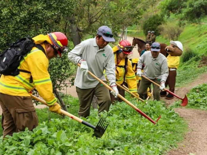 Gobierno se anticipa a eventual complejo escenario estival y presenta Programa para la Prevención y Mitigación de Incendios Forestales