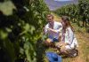 Reportaje | Panoramas de primavera en Colchagua: vino, gastronomía y nuevas experiencias para descubrir el valle Hay una postal de Colchagua que suele asociarse a marzo: racimos maduros, vendimias, celebraciones y turistas recorriendo las viñas
