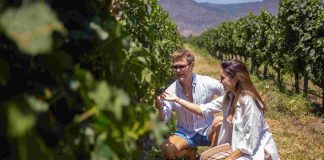 Noticia: Reportaje | Panoramas de primavera en Colchagua: vino, gastronomía y nuevas...