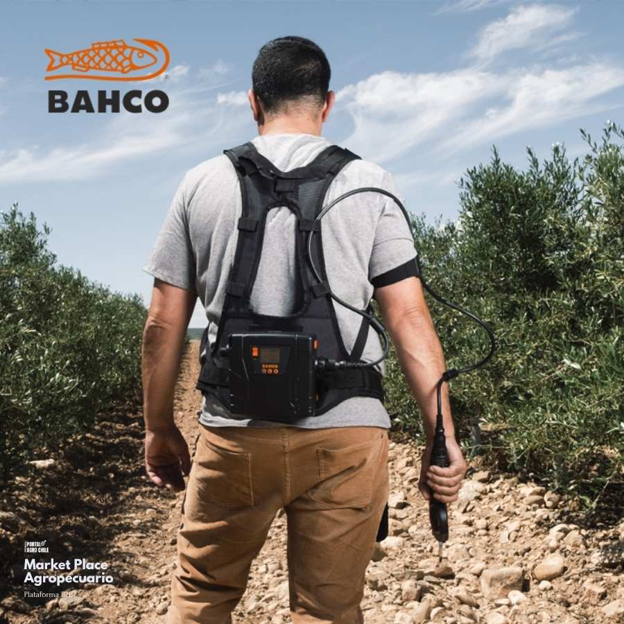 Herramientas para frutales - BAHCO