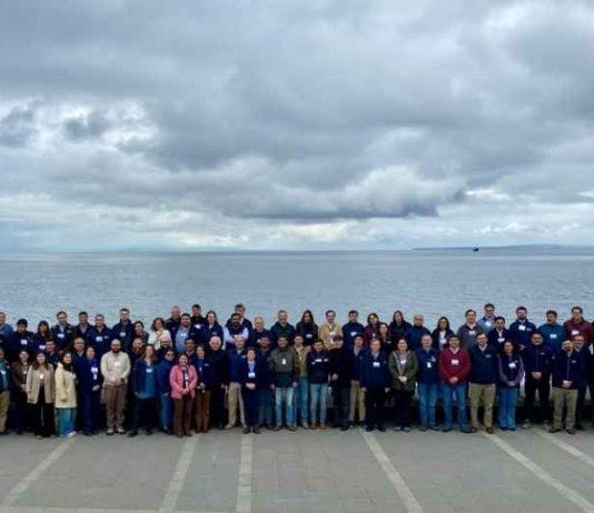 INDAP reunió a sus jefaturas de agencias de área en jornadas de alineamiento estratégico INDAP reunió a sus jefaturas de agencias de área en jornadas de alineamiento estratégico