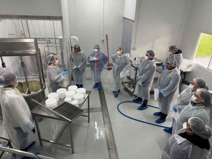 INIA Remehue capacitó a docentes de la Región de Los Lagos y Los Ríos en elaboración de quesos suaves de corta maduración INIA Remehue capacitó a docentes de la Región de Los Lagos y Los Ríos en elaboración de quesos suaves de corta maduración