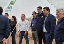 INIA Ururi presentó avances de su vitrina tecnológica y proyectos para fortalecer la agricultura en el desierto INIA Ururi presentó avances de su vitrina tecnológica y proyectos para fortalecer la agricultura en el desierto
