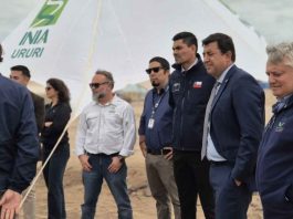 INIA Ururi presentó avances de su vitrina tecnológica y proyectos para fortalecer la agricultura en el desierto INIA Ururi presentó avances de su vitrina tecnológica y proyectos para fortalecer la agricultura en el desierto