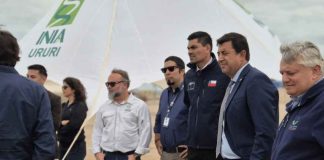 INIA Ururi presentó avances de su vitrina tecnológica y proyectos para fortalecer la agricultura en el desierto INIA Ururi presentó avances de su vitrina tecnológica y proyectos para fortalecer la agricultura en el desierto