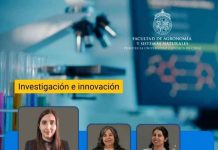 Innovación para el diagnóstico agrícola: proyecto FONDEF desarrollará sistema para detectar y diferenciar enfermedades de la papa