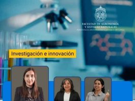 Innovación para el diagnóstico agrícola: proyecto FONDEF desarrollará sistema para detectar y diferenciar enfermedades de la papa Innovación para el diagnóstico agrícola: proyecto FONDEF desarrollará sistema para detectar y diferenciar enfermedades de la papa
