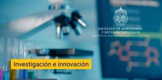 Innovación para el diagnóstico agrícola: proyecto FONDEF desarrollará sistema para detectar y diferenciar enfermedades de la papa Innovación para el diagnóstico agrícola: proyecto FONDEF desarrollará sistema para detectar y diferenciar enfermedades de la papa