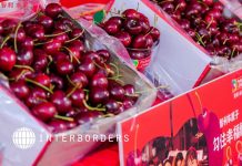 Temporada de cerezas 2026/27: Interborders analiza los desafíos de la cadena de frío rumbo a Asia Temporada de cerezas 2026/27: Interborders analiza los desafíos de la cadena de frío rumbo a Asia
