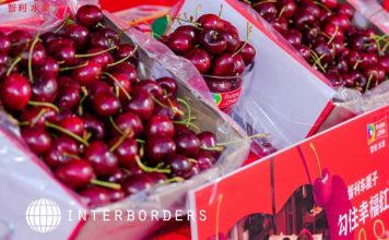 Temporada de cerezas 2026/27: Interborders analiza los desafíos de la cadena de frío rumbo a Asia