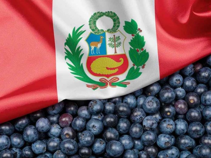 Internacional Arándanos peruanos Asia exige una estrategia cada vez más segmentada Internacional | Arándanos peruanos: Asia exige una estrategia cada vez más segmentada