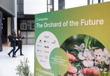Interpoma 2026: el manzanar del futuro cobra forma en The Orchard of the Future Interpoma 2026: el manzanar del futuro cobra forma en The Orchard of the Future