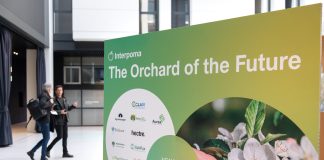 Interpoma 2026: el manzanar del futuro cobra forma en The Orchard of the Future Interpoma 2026: el manzanar del futuro cobra forma en The Orchard of the Future
