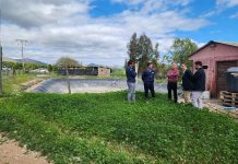 Inversión en riego mejora la seguridad hídrica y calidad de vida de agricultor de Ovalle Inversión en riego mejora la seguridad hídrica y calidad de vida de agricultor de Ovalle