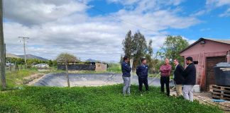 Inversión en riego mejora la seguridad hídrica y calidad de vida de agricultor de Ovalle Inversión en riego mejora la seguridad hídrica y calidad de vida de agricultor de Ovalle