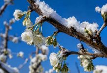 Invierno 2026 deja mayor acumulación de frío desde Valparaíso al sur, con fuertes diferencias respecto de 2025 Invierno 2026 deja mayor acumulación de frío desde Valparaíso al sur, con fuertes diferencias respecto de 2025