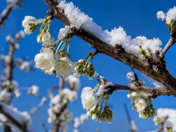Invierno 2026 deja mayor acumulación de frío desde Valparaíso al sur, con fuertes diferencias respecto de 2025 Invierno 2026 deja mayor acumulación de frío desde Valparaíso al sur, con fuertes diferencias respecto de 2025
