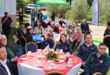 La agroecología toma fuerza en los territorios mediante el Programa TAS La agroecología toma fuerza en los territorios mediante el Programa TAS