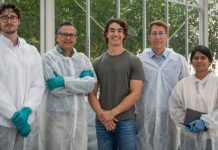 La empresa holandesa de tecnología agrícola Gravity Gardens consigue 2,6 millones de euros para ampliar su tecnología de activación de semillas en seco y sin productos químicos. La empresa holandesa de tecnología agrícola Gravity Gardens consigue 2,6 millones de euros para ampliar su tecnología de activación de semillas en seco y sin productos químicos.