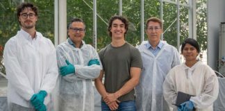 La empresa holandesa de tecnología agrícola Gravity Gardens consigue 2,6 millones de euros para ampliar su tecnología de activación de semillas en seco y sin productos químicos.