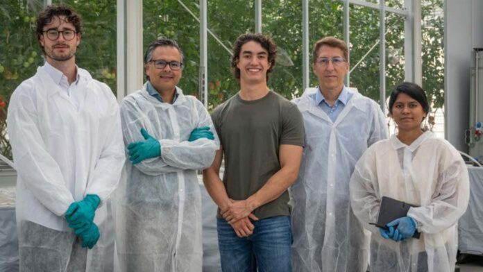La empresa holandesa de tecnología agrícola Gravity Gardens consigue 2,6 millones de euros para ampliar su tecnología de activación de semillas en seco y sin productos químicos. La empresa holandesa de tecnología agrícola Gravity Gardens consigue 2,6 millones de euros para ampliar su tecnología de activación de semillas en seco y sin productos químicos.