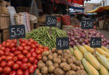 Los alimentos básicos subieron hasta 123% en un mes en Perú: El Niño presiona los precios de tomates, papas y choclos en los mercados Los alimentos básicos subieron hasta 123% en un mes en Perú: El Niño presiona los precios de tomates, papas y choclos en los mercados