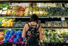 Los precios mundiales de los alimentos alcanzaron en agosto su nivel más alto en casi cuatro años. Los precios mundiales de los alimentos alcanzaron en agosto su nivel más alto en casi cuatro años.