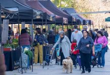 Mercados Campesinos de INDAP cumplen 10 años: ya hay 220 puntos de venta en todo el país Mercados Campesinos de INDAP cumplen 10 años: ya hay 220 puntos de venta en todo el país