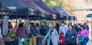Mercados Campesinos de INDAP cumplen 10 años: ya hay 220 puntos de venta en todo el país Mercados Campesinos de INDAP cumplen 10 años: ya hay 220 puntos de venta en todo el país