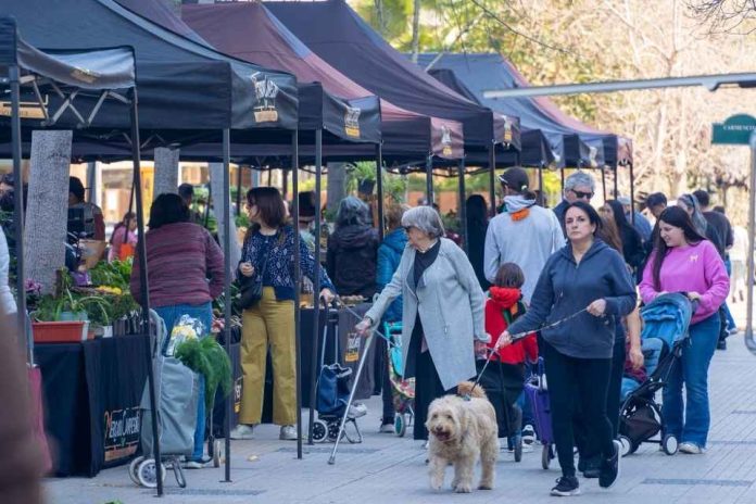 Mercados Campesinos de INDAP cumplen 10 años ya hay 220 puntos de venta en todo el país Mercados Campesinos de INDAP cumplen 10 años: ya hay 220 puntos de venta en todo el país