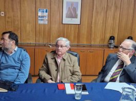 Mesa Nacional de la Avena anuncia Conferencia Internacional de Avena que se realizará en Pucón