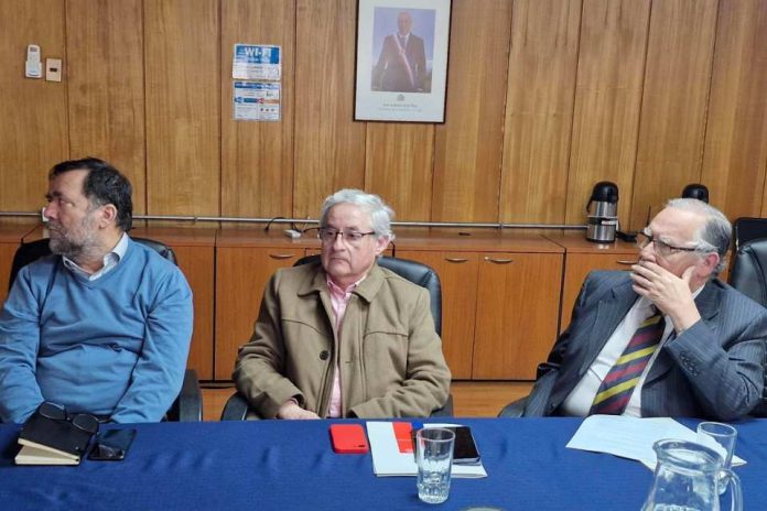 Mesa Nacional de la Avena anuncia Conferencia Internacional de Avena que se realizará en Pucón