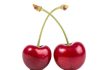 Mesa Técnica del Comité de Cerezas de Frutas de Chile pone a disposición de la industria guía sobre riego Mesa Técnica del Comité de Cerezas de Frutas de Chile pone a disposición de la industria guía sobre riego