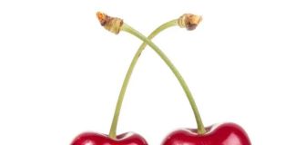Mesa Técnica del Comité de Cerezas de Frutas de Chile pone a disposición de la industria guía sobre riego Mesa Técnica del Comité de Cerezas de Frutas de Chile pone a disposición de la industria guía sobre riego