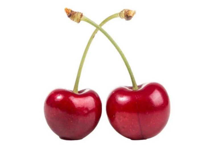 Mesa Técnica del Comité de Cerezas de Frutas de Chile pone a disposición de la industria guía sobre riego