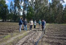 Ministerio de Agricultura entrega certificados de indemnizaciones por $304 millones a productores de la región del Biobío afectados por riesgos climáticos y sanitarios
