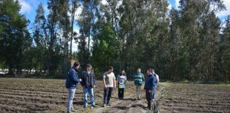 Ministerio de Agricultura entrega certificados de indemnizaciones por $304 millones a productores de la región del Biobío afectados por riesgos climáticos y sanitarios Ministerio de Agricultura entrega certificados de indemnizaciones por $304 millones a productores de la región del Biobío afectados por riesgos climáticos y sanitarios