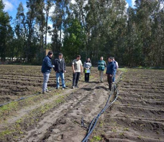 Ministerio de Agricultura entrega certificados de indemnizaciones por $304 millones a productores de la región del Biobío afectados por riesgos climáticos y sanitarios Ministerio de Agricultura entrega certificados de indemnizaciones por $304 millones a productores de la región del Biobío afectados por riesgos climáticos y sanitarios