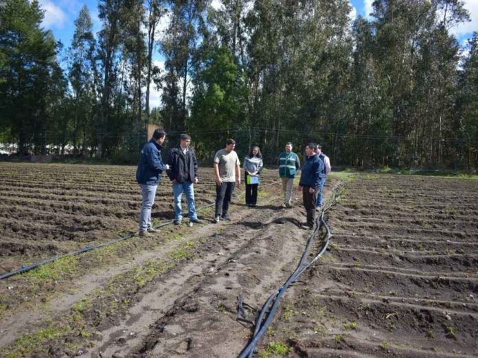 Ministerio de Agricultura entrega certificados de indemnizaciones por $304 millones a productores de la región del Biobío afectados por riesgos climáticos y sanitarios Ministerio de Agricultura entrega certificados de indemnizaciones por $304 millones a productores de la región del Biobío afectados por riesgos climáticos y sanitarios