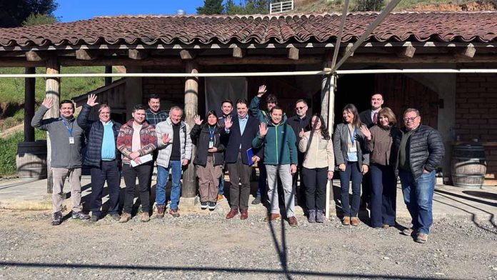 Ñuble Mesa Regional del Vino aborda brechas de comercialización y nuevos mercados Mesa Regional del Vino aborda brechas de comercialización y nuevos mercados