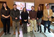 Reportaje | Nueva técnica permitirá detectar en terreno patógenos que afectan a las abejas Nueva técnica permitirá detectar en terreno patógenos que afectan a las abejas