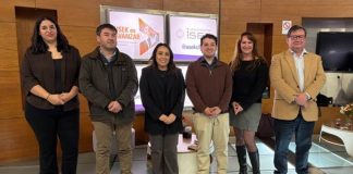 Nueva técnica permitirá detectar en terreno patógenos que afectan a las abejas