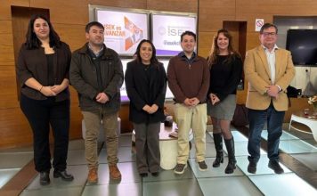 Nueva técnica permitirá detectar en terreno patógenos que afectan a las abejas