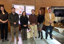 Nueva técnica permitirá detectar en terreno patógenos que afectan a las abejas Nueva técnica permitirá detectar en terreno patógenos que afectan a las abejas
