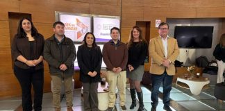 Nueva técnica permitirá detectar en terreno patógenos que afectan a las abejas Nueva técnica permitirá detectar en terreno patógenos que afectan a las abejas